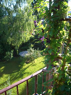Holiday Apartment in berlingen (Lake of Constance) or holiday homes and vacation rentals