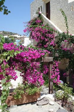 Holiday Apartment in Kos,Kefalos,Kamari (Dodekanisos) or holiday homes and vacation rentals