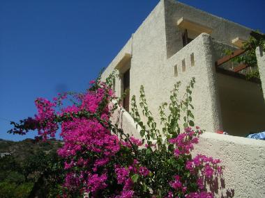 Holiday Apartment in Kos,Kefalos,Kamari (Dodekanisos) or holiday homes and vacation rentals