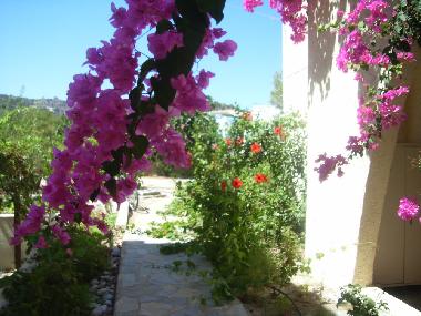 Holiday Apartment in Kos,Kefalos,Kamari (Dodekanisos) or holiday homes and vacation rentals