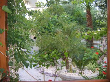 Holiday Apartment in Lindos (Dodekanisos) or holiday homes and vacation rentals