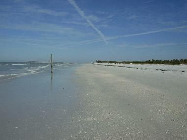 Looking north towards Caladesi Island