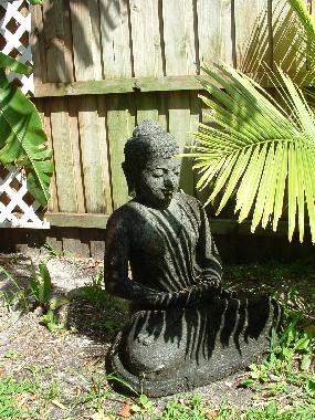 Side garden