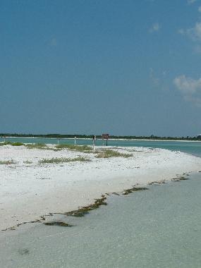 Caladesi End