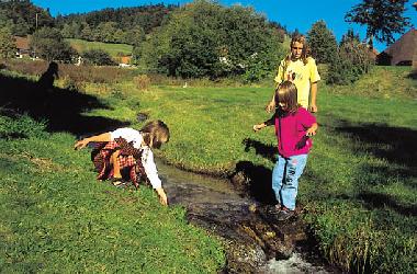 Holiday Apartment in Schwarzwald, Schopfheim, Ortsteil Gersbach (Black Forest) or holiday homes and vacation rentals