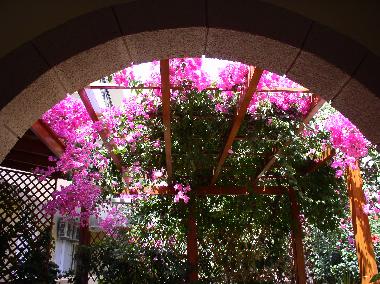 Holiday Apartment in Lindos (Dodekanisos) or holiday homes and vacation rentals