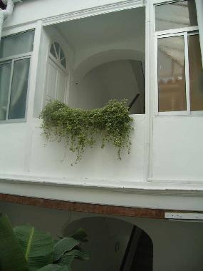 Holiday Apartment in Jerez de la Frontera (C�diz) or holiday homes and vacation rentals