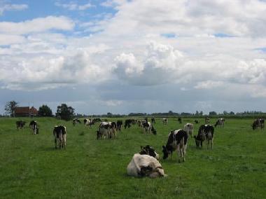 Chalet in Egmond aan den Hoef (Noord-Holland) or holiday homes and vacation rentals