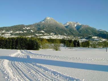 Holiday House in Fischbachau (Upper Bavaria) or holiday homes and vacation rentals