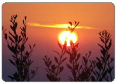 Holiday House in chania (Chania) or holiday homes and vacation rentals