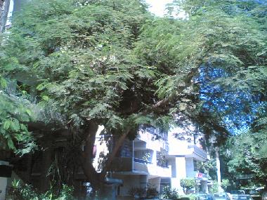 Holiday Apartment in Cairo (Al Qahirah) or holiday homes and vacation rentals