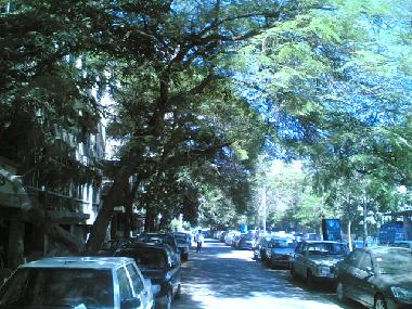 Holiday Apartment in Cairo (Al Qahirah) or holiday homes and vacation rentals