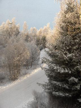 Village Lane in Winter