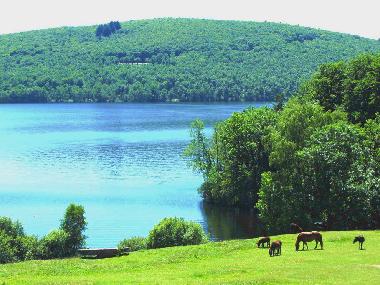 Holiday House in St Germain les Belles (Haute-Vienne) or holiday homes and vacation rentals