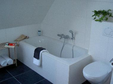 Beemsterkamer bathroom