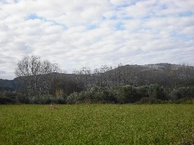 Holiday House in CHANIA (Chania) or holiday homes and vacation rentals