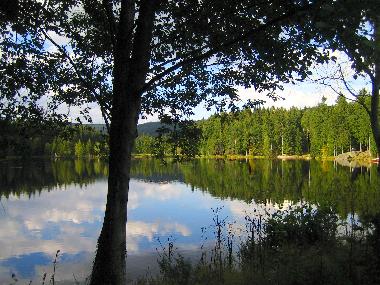 Holiday Apartment in Bad Elster  (Vogtland) or holiday homes and vacation rentals