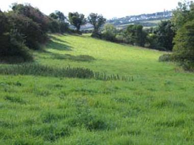Bottom pasture looking towards Gerrans