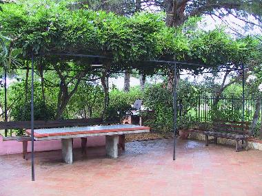 Outdoor table under wisteria's pergola