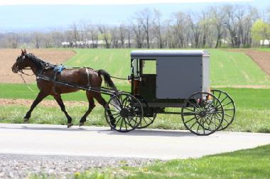 Mennonite farmer going to the weekly Farmers Market in nearby Aylmer, Ontario