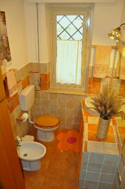 Villa Castelforte full bathroom (hairdrier)