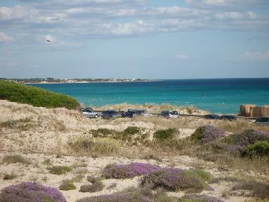 tambo house  marina di lizzano taranto