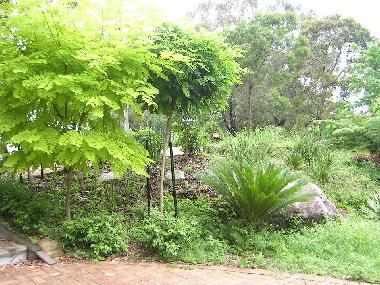 Holiday Apartment in Frenchs Forest (New South Wales) or holiday homes and vacation rentals