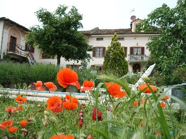 Holiday Apartment in Moasca (Asti) or holiday homes and vacation rentals