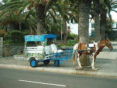 Holiday House in Porto Santo (Madeira) or holiday homes and vacation rentals