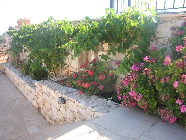 Holiday House in Kokkino Horio (Chania) or holiday homes and vacation rentals