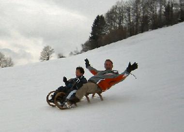 Holiday Apartment in Seeboden - Lieserbr�cke (Oberk�rnten) or holiday homes and vacation rentals