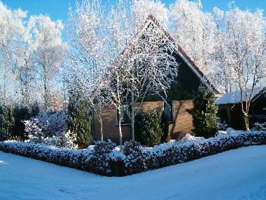 Holiday Apartment in Winterswijk (Gelderland) or holiday homes and vacation rentals