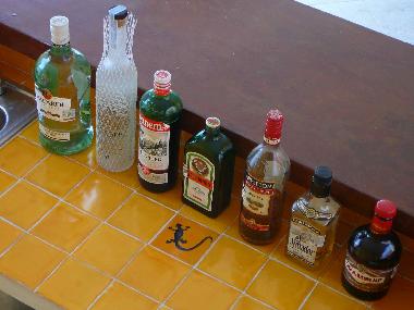 the bar area