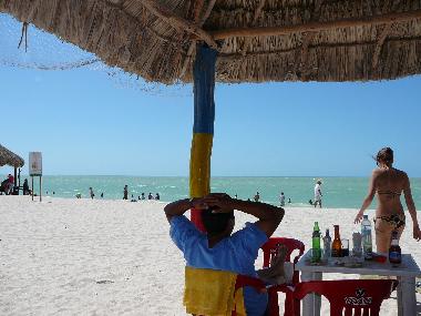 beach in celestun