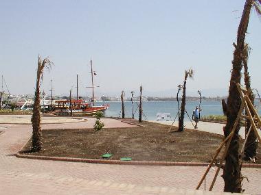 Harbour - Boat trips available daily