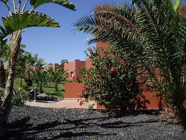 Holiday Apartment in Corralejo (Fuerteventura) or holiday homes and vacation rentals