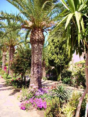 Holiday House in Oliveri (Messina) or holiday homes and vacation rentals