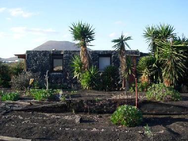 Holiday Apartment in San Bartolome-Mozaga (Lanzarote) or holiday homes and vacation rentals