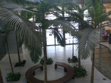 lobby and entrance level