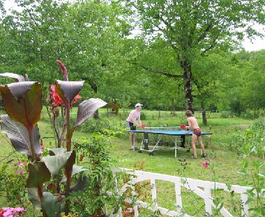 Outdoor ping pong