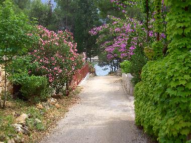 Holiday House in Stari Grad (Splitsko-Dalmatinska) or holiday homes and vacation rentals