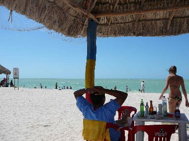 Holiday House in Merida (Yucatan) or holiday homes and vacation rentals