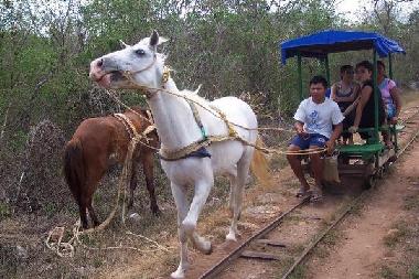 Holiday House in Merida (Yucatan) or holiday homes and vacation rentals