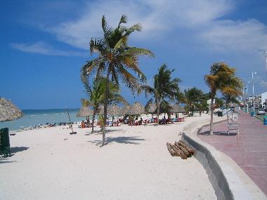 Holiday House in Merida (Yucatan) or holiday homes and vacation rentals