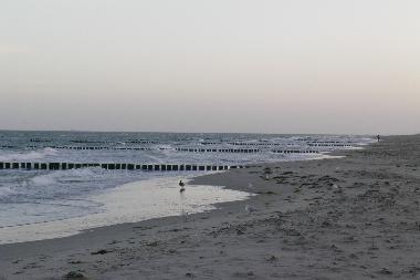 Holiday Apartment in Zingst (Fischland-Dar�-Zingst) or holiday homes and vacation rentals