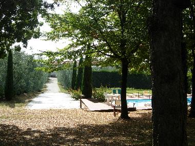 Holiday Apartment in Larciano (Pistoia) or holiday homes and vacation rentals