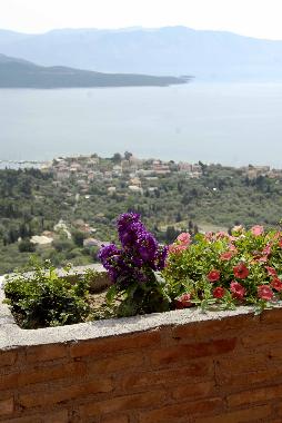 Holiday House in Nikiana (Lefkada) or holiday homes and vacation rentals