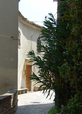 Holiday House in Montalto delle Marche (Ascoli Piceno) or holiday homes and vacation rentals
