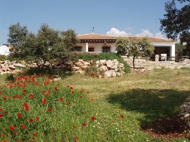 Looking up at the house from the garden gate