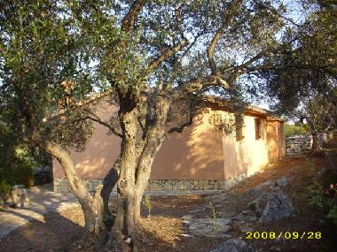 Holiday House in Dugi Otok - Sali (Zadarska) or holiday homes and vacation rentals